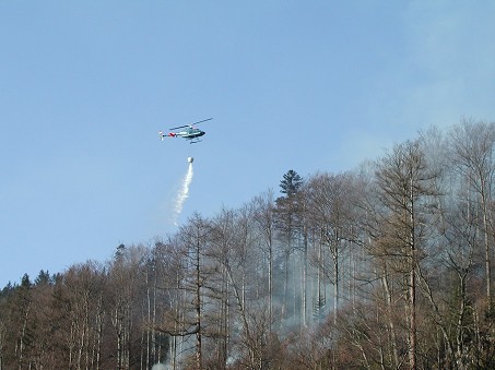 2002_Waldbrand Kohleben